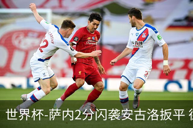 世界杯-萨内2分闪袭安古洛扳平 德国半场1-1厄瓜多尔